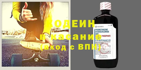 ГАЛЛЮЦИНОГЕННЫЕ ГРИБЫ Бородино