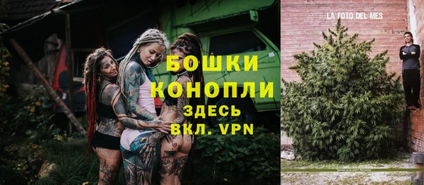 ГАЛЛЮЦИНОГЕННЫЕ ГРИБЫ Бородино