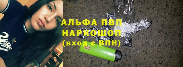 ГАЛЛЮЦИНОГЕННЫЕ ГРИБЫ Бородино