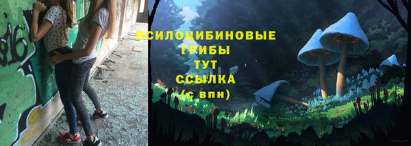 ГАЛЛЮЦИНОГЕННЫЕ ГРИБЫ Бородино
