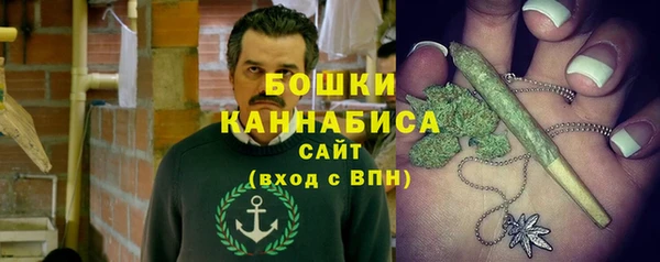 ГАЛЛЮЦИНОГЕННЫЕ ГРИБЫ Бородино