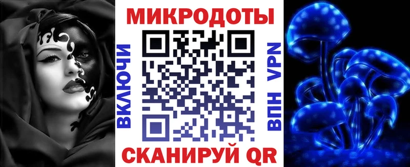 Купить  Лебедянь  Псилоцибиновые грибы Psilocybe 